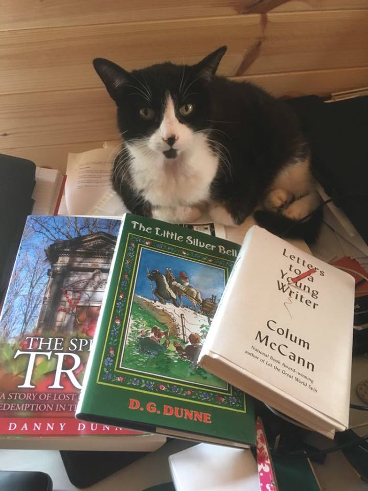 41479913_2297629840523171_1121049102059044864_n