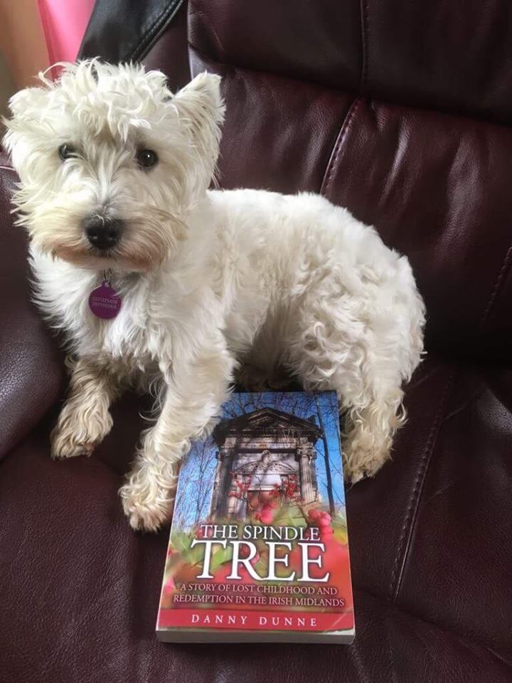 41598674_265623330729423_2276076381886480384_n