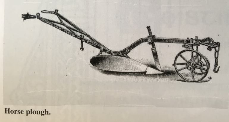 45023267_1917856948521201_7710617167166701568_n