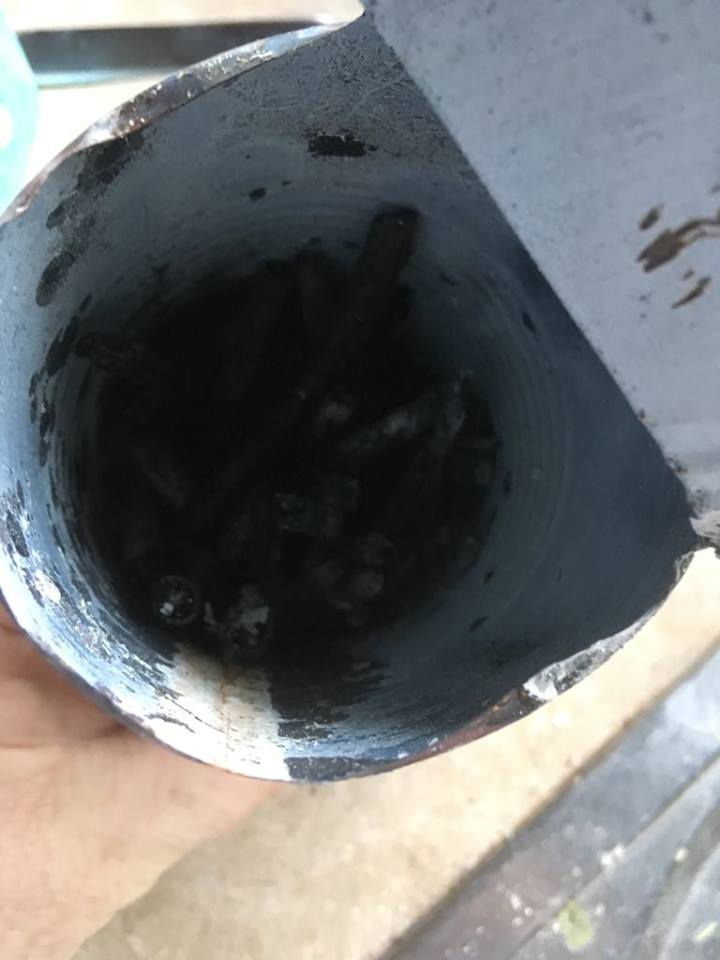 45033185_182655559328541_4576186404328964096_n