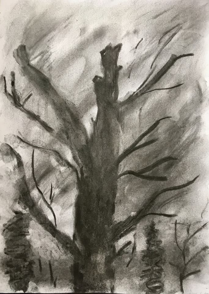 45099831_357943138082874_8629591133145530368_n