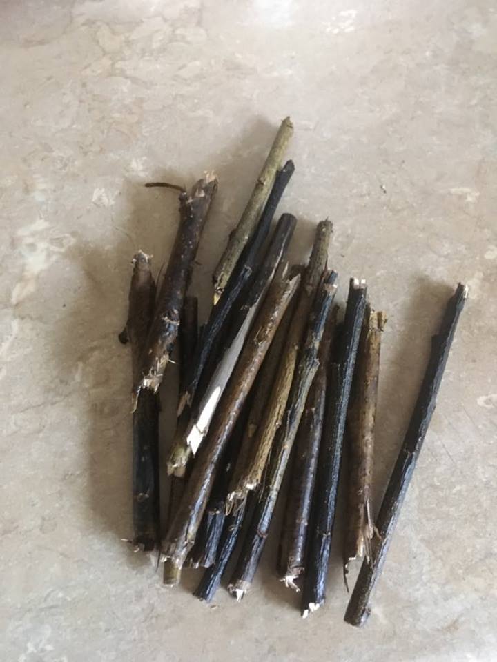 45213306_187622248788983_1933685570484043776_n